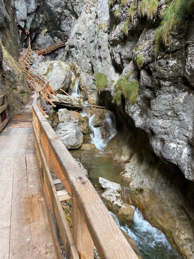 Steinerhaus Berggasthof Грёбминг Экстерьер фото